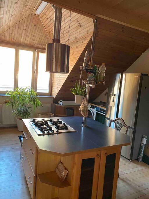 Rooftop 180M2 Loft With Private Sauna, Bratislava Luaran gambar